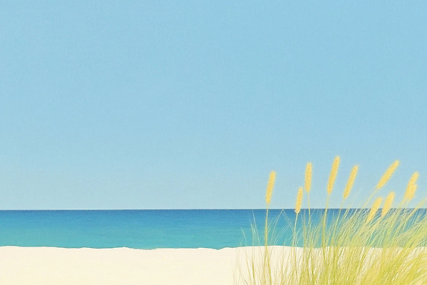 JPG 일러스트 하늘 해변 사람없음 파란색 여름풍경 풀 국내일러스트 AI일러스트 AI콘텐츠 식물 바다 컬러 풍경 파일형식 여름_계절