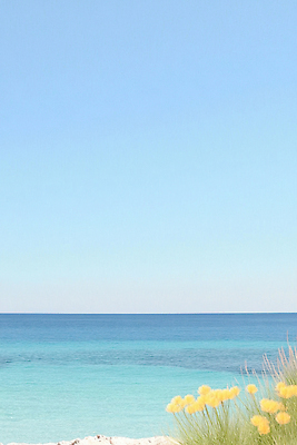 JPG 꽃 바다 일러스트 하늘 사람없음 파란색 여름풍경 풀 국내일러스트 AI일러스트 AI콘텐츠 식물 컬러 풍경 파일형식 여름_계절