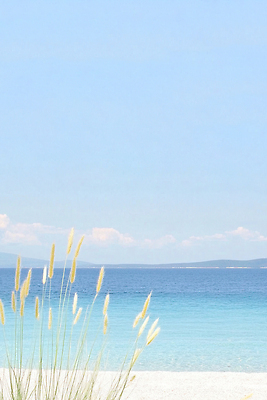 JPG 구름 일러스트 하늘 해변 사람없음 파란색 여름풍경 풀 국내일러스트 AI일러스트 AI콘텐츠 자연요소 식물 바다 컬러 풍경 파일형식 여름_계절