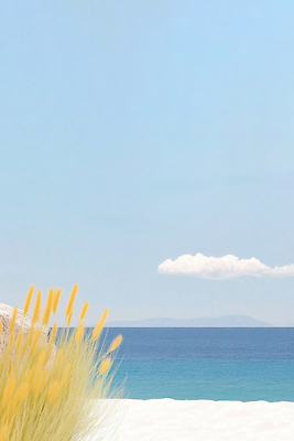 JPG 구름 일러스트 하늘 해변 사람없음 파란색 여름풍경 풀 국내일러스트 AI일러스트 AI콘텐츠 자연요소 식물 바다 컬러 풍경 파일형식 여름_계절