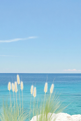 JPG 구름 바다 일러스트 하늘 사람없음 파란색 여름풍경 돌_바위 풀 국내일러스트 AI일러스트 AI콘텐츠 자연요소 식물 컬러 풍경 파일형식 여름_계절