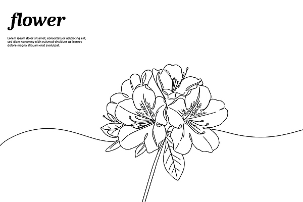 디자인 꽃 라인일러스트 일러스트 사람없음 드로잉 제라늄 국내일러스트 AI파일 식물 미술 파일형식 벡터