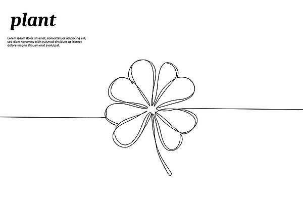식물 디자인 꽃 잎 라인일러스트 일러스트 사람없음 풀잎 행운 네잎클로버 클로버 드로잉 국내일러스트 AI파일 컨셉 미술 풀_식물 파일형식 벡터