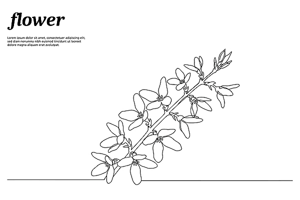 디자인 꽃잎 꽃 라인일러스트 일러스트 봄꽃 사람없음 드로잉 라일락 꽃가지 국내일러스트 AI파일 식물 미술 봄 나뭇가지 파일형식 벡터