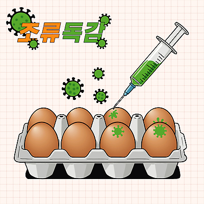 일러스트 실험 주사기 안전 사람없음 초록색 농장 계란 바이러스 보호 위생 예방 계란판 백신 조류독감 조류인플루엔자 국내일러스트 AI파일 컬러 컨셉 농업 의학 의료기기 알 전염병 파일형식 벡터