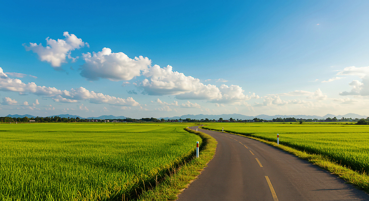 JPG 구름 편집이미지 도로 여행 자연 하늘 풍경 초원 사람없음 맑음 드라이브 농촌 커브길 시골길 편집실사 AI포토 AI콘텐츠 자연요소 길 교통시설 날씨 운전 시골 CG 생태계 파일형식