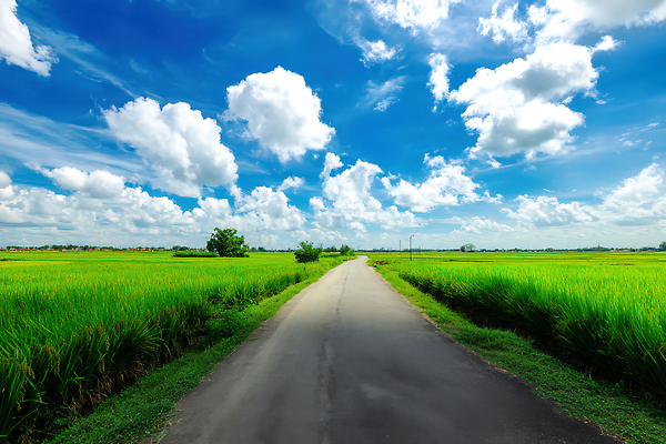 JPG 구름 편집이미지 도로 여행 가로등 자연 하늘 풍경 초원 사람없음 햇빛 평화 맑음 드라이브 자유 성장 농촌 시골길 편집실사 AI포토 AI콘텐츠 자연요소 공공시설 길 컨셉 교통시설 날씨 태양 운전 시골 CG 생태계 파일형식