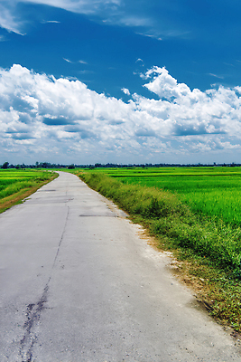 JPG 구름 편집이미지 도로 여행 자연 하늘 거리 풍경 초원 사람없음 여름 평화 맑음 드라이브 농촌 시골길 산들바람 흙길 편집실사 AI포토 AI콘텐츠 자연요소 계절 길 컨셉 교통시설 바람 날씨 흙 운전 시골 CG 생태계 파일형식