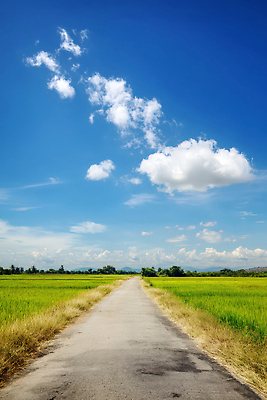 JPG 구름 편집이미지 도로 자연 하늘 풍경 초원 사람없음 여름 햇빛 평화 맑음 드라이브 농촌 시골길 편집실사 AI포토 AI콘텐츠 자연요소 계절 길 컨셉 교통시설 날씨 태양 운전 시골 CG 생태계 파일형식