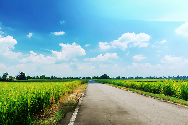 JPG 구름 편집이미지 라이프스타일 도로 여행 자연 하늘 풍경 초원 사람없음 여름 햇빛 평화 맑음 드라이브 농촌 시골길 편집실사 AI포토 AI콘텐츠 자연요소 계절 길 컨셉 교통시설 날씨 생활 태양 운전 시골 CG 생태계 파일형식