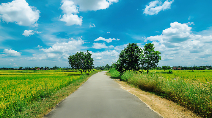 JPG 나무 구름 편집이미지 도로 여행 자연 하늘 풍경 초원 사람없음 여름 노란색 평화 맑음 드라이브 자유 농촌 시골길 편집실사 AI포토 AI콘텐츠 자연요소 식물 계절 길 컬러 컨셉 교통시설 날씨 운전 시골 CG 생태계 파일형식