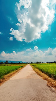 JPG 구름 편집이미지 도로 자연 하늘 풍경 초원 사람없음 여름 평화 농사 맑음 드라이브 농촌 시골길 길가 편집실사 AI포토 AI콘텐츠 자연요소 계절 길 컨셉 농업 교통시설 날씨 운전 시골 CG 생태계 파일형식