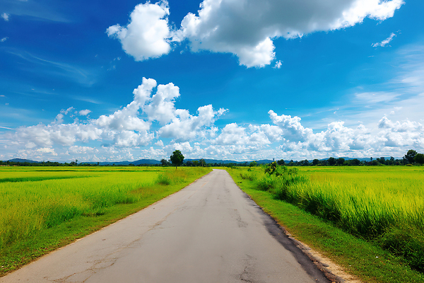 JPG 구름 편집이미지 도로 여유 여행 자연 하늘 풍경 초원 사람없음 여름 햇빛 맑음 고요 드라이브 농촌 시골길 편집실사 AI포토 AI콘텐츠 자연요소 계절 감정 길 교통시설 날씨 태양 운전 시골 CG 생태계 파일형식