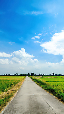 JPG 구름 편집이미지 도로 자연 하늘 풍경 초원 사람없음 여름 햇빛 평화 맑음 드라이브 농촌 시골길 편집실사 AI포토 AI콘텐츠 자연요소 계절 길 컨셉 교통시설 날씨 태양 운전 시골 CG 생태계 파일형식