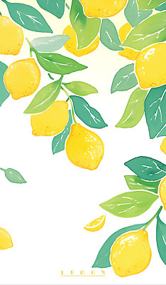 PSD 잎 일러스트 사람없음 초록색 노란색 레몬 국내일러스트 식물 컬러 과일 파일형식