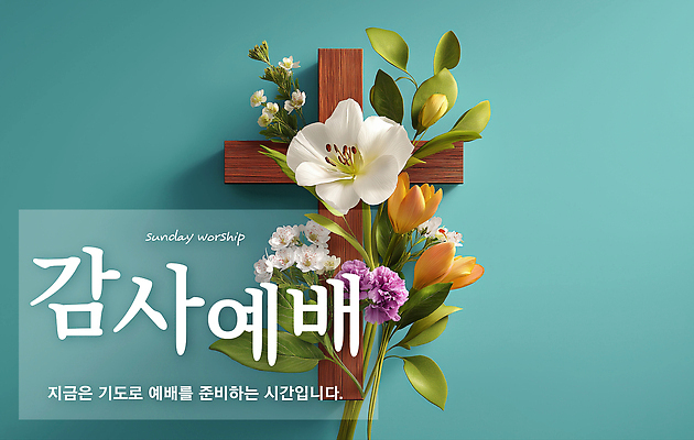 PSD 편집이미지 기독교 예술 생명 부활절 사람없음 장식 교회 믿음 기도 예수 감사 예배 청록색 찬양 조화 일요일 나무십자가 이미지편집 기념일 감정 종교 컬러 십자가 종교건축 건물 신_종교 요일 파일형식