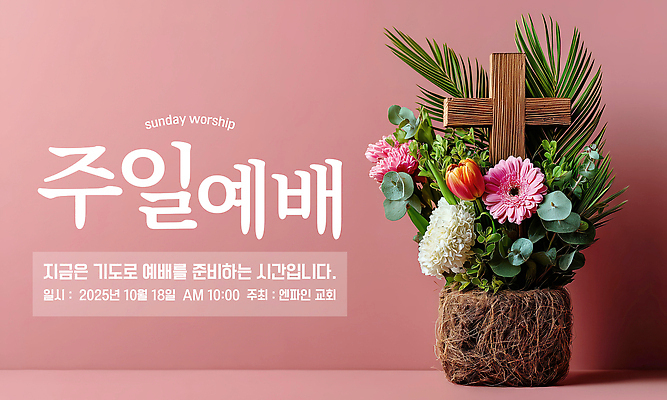 PSD 편집이미지 기독교 분홍색 잎 부활절 사람없음 교회 믿음 튤립 기도 감사 예배 거베라 찬양 일요일 나무십자가 은혜 이미지편집 식물 기념일 꽃 감정 종교 컬러 십자가 종교건축 건물 요일 파일형식