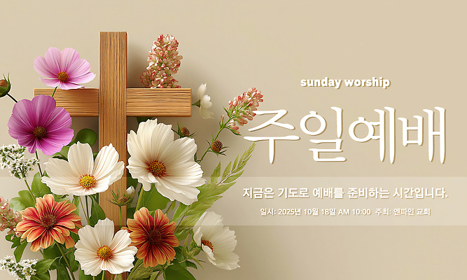 PSD 편집이미지 기독교 사람없음 교회 믿음 기도 코스모스 감사 예배 찬양 조화 일요일 나무십자가 은혜 이미지편집 꽃 감정 종교 십자가 종교건축 건물 요일 파일형식