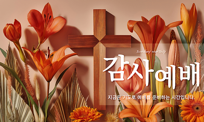 PSD 편집이미지 기독교 사람없음 일상 교회 믿음 주황색 튤립 기도 일주일 감사 예배 거베라 찬양 나무십자가 나리꽃 은혜 이미지편집 꽃 감정 종교 컬러 십자가 종교건축 건물 라이프 파일형식