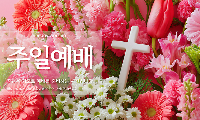 PSD 편집이미지 기독교 분홍색 십자가 사람없음 장식 교회 믿음 튤립 기도 일주일 감사 예배 화사함 거베라 일요일 이미지편집 꽃 감정 종교 컬러 컨셉 종교건축 건물 요일 파일형식