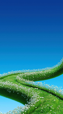 JPG 편집이미지 꽃밭 자연 하늘 잔디 사람없음 초록색 파란색 꽃길 전경 경관 이미지편집 편집실사 AI컴퓨터그래픽 AI콘텐츠 식물 꽃 길 컬러 풍경 CG 생태계 파일형식 탑뷰