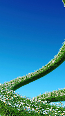 JPG 편집이미지 꽃밭 자연 하늘 풍경 잔디 사람없음 초록색 파란색 이미지편집 편집실사 AI컴퓨터그래픽 AI콘텐츠 식물 꽃 컬러 CG 생태계 파일형식