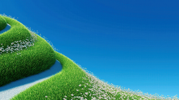 JPG 편집이미지 꽃밭 자연 하늘 풍경 잔디 사람없음 초록색 파란색 걷기 꽃길 이미지편집 편집실사 AI컴퓨터그래픽 AI콘텐츠 식물 꽃 길 컬러 모션 CG 생태계 파일형식