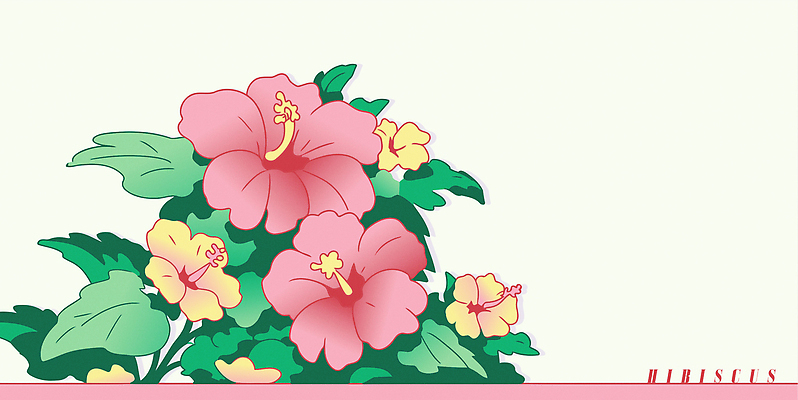 분홍색 잎 일러스트 여름꽃 사람없음 히비스커스 트로피컬아트 국내일러스트 AI파일 식물 꽃 컬러 그림 파일형식 벡터 여름_계절