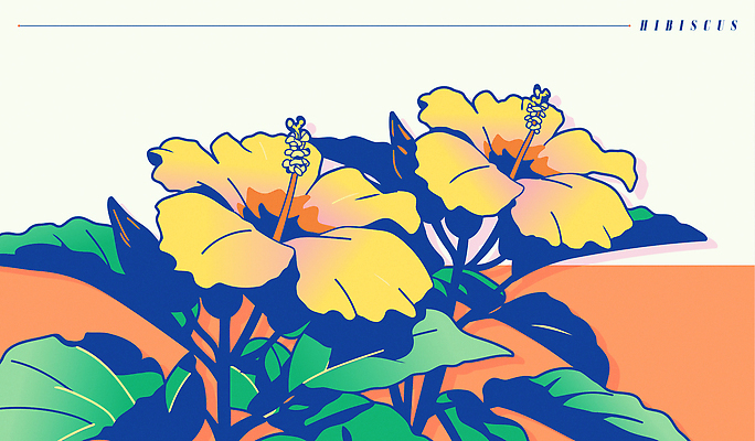 잎 일러스트 여름꽃 사람없음 주황색 히비스커스 트로피컬아트 국내일러스트 AI파일 식물 꽃 컬러 그림 파일형식 벡터 여름_계절