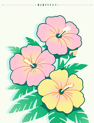 분홍색 잎 일러스트 여름꽃 사람없음 노란색 히비스커스 트로피컬아트 국내일러스트 AI파일 식물 꽃 컬러 그림 파일형식 벡터 여름_계절