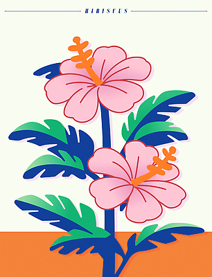 분홍색 잎 일러스트 여름꽃 사람없음 주황색 히비스커스 트로피컬아트 국내일러스트 AI파일 식물 꽃 컬러 그림 파일형식 벡터 여름_계절