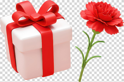 편집이미지 디자인 기념일 꽃 행복 화분 예술 포장 선물 사랑 이벤트 장식 기쁨 축하 생일 카네이션 조화 PNG 뷰티풀 식물 감정 컨셉 파일형식