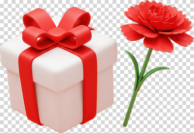 편집이미지 디자인 커플 기념일 꽃 리본 선물 사랑 장식 빨간색 상자 흰색 축하 생일 분위기 카네이션 심플 기념품 PNG 정성 식물 감정 컬러 컨셉 관계 이벤트 오브젝트 파일형식