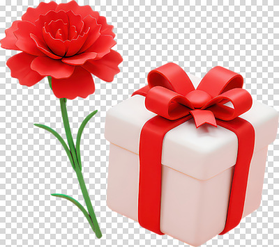 편집이미지 디자인 기념일 꽃 리본 포장 자연 선물 사랑 이벤트 빨간색 상자 기쁨 축하 표현 화려 카네이션 PNG 뷰티풀 식물 감정 컬러 컨셉 생태계 파일형식