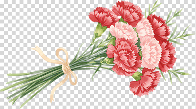 편집이미지 기념일 꽃 리본 분홍색 꽃다발 선물 이벤트 장식 빨간색 봄 축하 카네이션 화사함 PNG 풍요 식물 계절 컬러 컨셉 파일형식