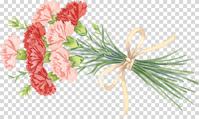 편집이미지 디자인 꽃 리본 분홍색 꽃다발 선물 장식 빨간색 컬러풀 축하 카네이션 그림 수공예 PNG 플로리스트 식물 직업 컬러 컨셉 공예 파일형식