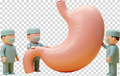 편집이미지 교육 신체 해부 의학 건강 실험 그래픽 치료 친구 학습 모형 의사 교양 수술 전문직 위 실습 PNG 직업 관계 의료진 방향 파일형식