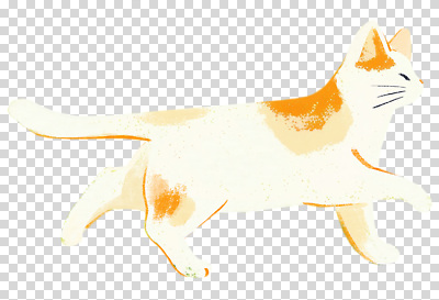 동물 편집이미지 공원 컬러 포즈 모션 자연 아침 털 달리기 귀여움 환경 고양이 신선 즐거움 장면 탐색 느림 PNG 주간 공공시설 감정 컨셉 포유류 반려동물 생태계 파일형식