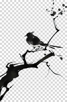 나무 편집이미지 예술 자연 조류 하늘 생명 아침 수채화 흑백 수묵화 평화 나뭇가지 관찰 조용 PNG 순간 창의성 스타일 주간 식물 동물 컨셉 모션 촬영기법 미술 생태계 파일형식