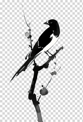 나무 식물 동물 편집이미지 외관 감정 자연 조류 생명 휴식 평화 검은색 산책 흰색 비행 숲 생태계 조화 PNG 순간 컬러 컨셉 파일형식