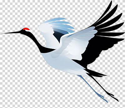 동물 편집이미지 예술 컬러 날개 자연 조류 하늘 검은색 학 자유 흰색 비행 그림 생태계 PNG 컨셉 파일형식
