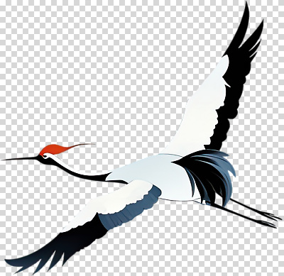 편집이미지 상징 이동 자연 조류 하늘 생명 풍경 공중 평화 환경 학 비행 우아함 신비 깃털 생태계 조화 PNG 동물 컨셉 파일형식