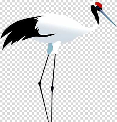 동물 편집이미지 자연 조류 생명 평화 환경 학 관찰 시세 생태계 서식지 PNG 오후 컨셉 모션 금융 파일형식