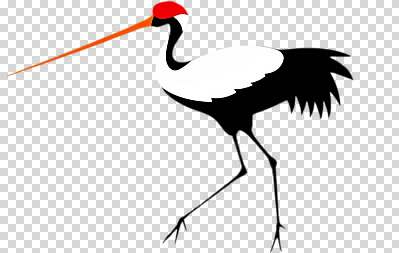 동물 아시아 모션 조류 생태계 파일형식 학 조화 자연 걷기 상징 한국 날개 사람 관찰 컬러 편집이미지 PNG