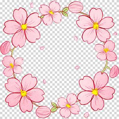 식물 편집이미지 꽃잎 꽃 감정 분홍색 컬러 꽃다발 포장 자연 선물 장식 화환 봄 성장 벚꽃 원형 아치 화사함 PNG 플로리스트 도형 직업 계절 컨셉 생태계 파일형식