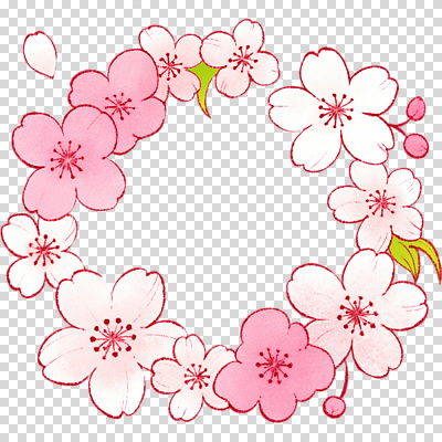 식물 편집이미지 디자인 계절 꽃잎 꽃 예술 컬러 자연 풍경 장식 화환 봄 벚꽃 화려 머리핀 화사함 감성 조화 PNG 생동감 컨셉 장신구 생태계 파일형식