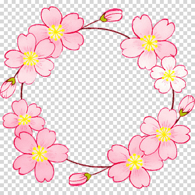 나무 식물 편집이미지 전통 디자인 계절 꽃잎 꽃 예술 분홍색 패턴 자연 풍경 화관 봄 벚꽃 원형 화사함 PNG 생동감 도형 컬러 컨셉 무늬 생태계 파일형식