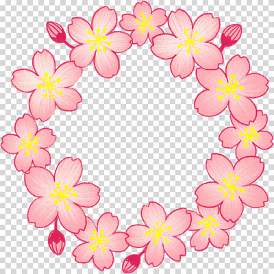 편집이미지 디자인 계절 꽃 예술 분홍색 컬러 백그라운드 자연 생명 프레임 장식 노란색 봄 벚꽃 원형 화사함 PNG 꾸미기 소프트 도형 식물 컨셉 생태계 파일형식