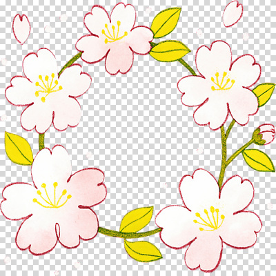 식물 편집이미지 디자인 계절 화초 분홍색 잎 꽃밭 자연 장식 봄 벚꽃 원형 원예 화사함 감성 PNG 만개 도형 꽃 컬러 컨셉 취미 생태계 파일형식