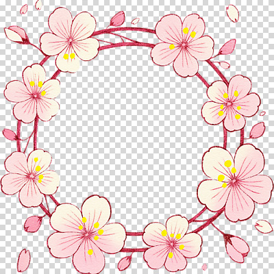 편집이미지 디자인 계절 꽃잎 꽃 예술 분홍색 자연 풍경 장식 봄 벚꽃 중앙 부드러움 원형프레임 PNG 색감 창의력 아기자기 식물 컬러 컨셉 프레임 원형 감각 생태계 파일형식